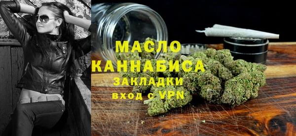 индика Алагир
