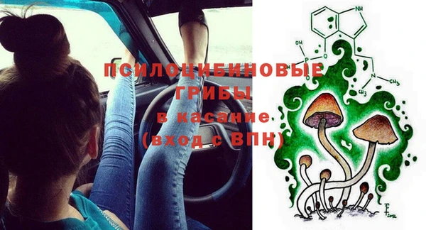a pvp Михайловск