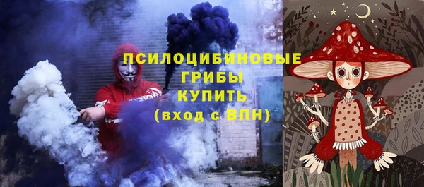 индика Алагир